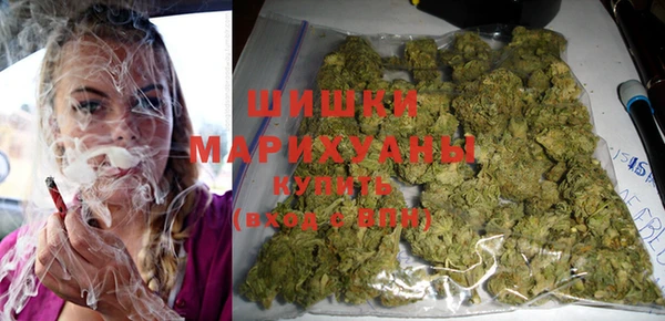 PSILOCYBIN Надым