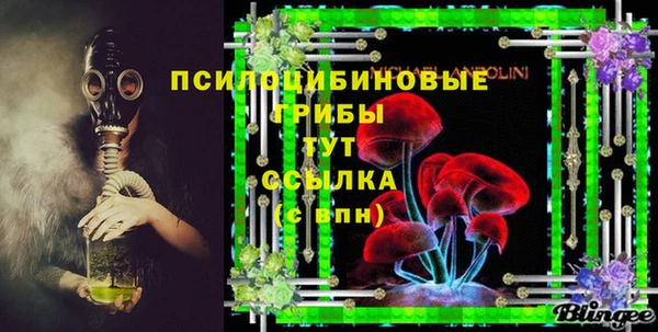 PSILOCYBIN Надым